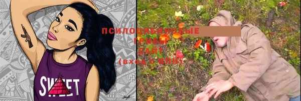 ПСИЛОЦИБИНОВЫЕ ГРИБЫ Нязепетровск